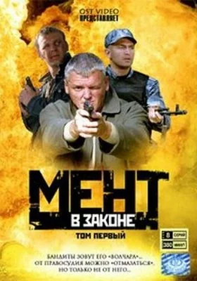 Мент в законе